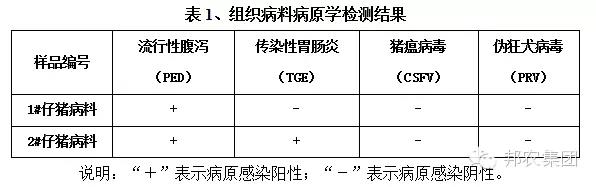 【案例】河南周口一200头母猪场产房仔猪腹泻的快速诊断及防控战略-专家效劳-河南邦农饲料有限公司