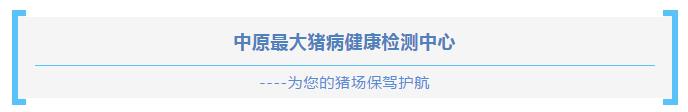 【案例】河南许昌一猪场我们是这样资助其解决口蹄疫混淆熏染的-专家效劳-河南邦农饲料有限公司