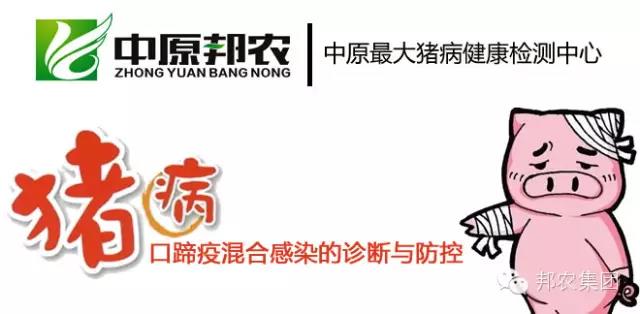 【案例】河南许昌一猪场我们是这样资助其解决口蹄疫混淆熏染的-专家效劳-河南邦农饲料有限公司