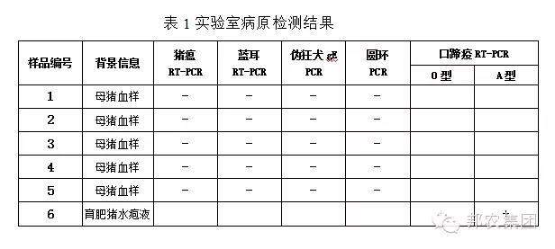 【案例】河南许昌一猪场我们是这样资助其解决口蹄疫混淆熏染的-专家效劳-河南邦农饲料有限公司