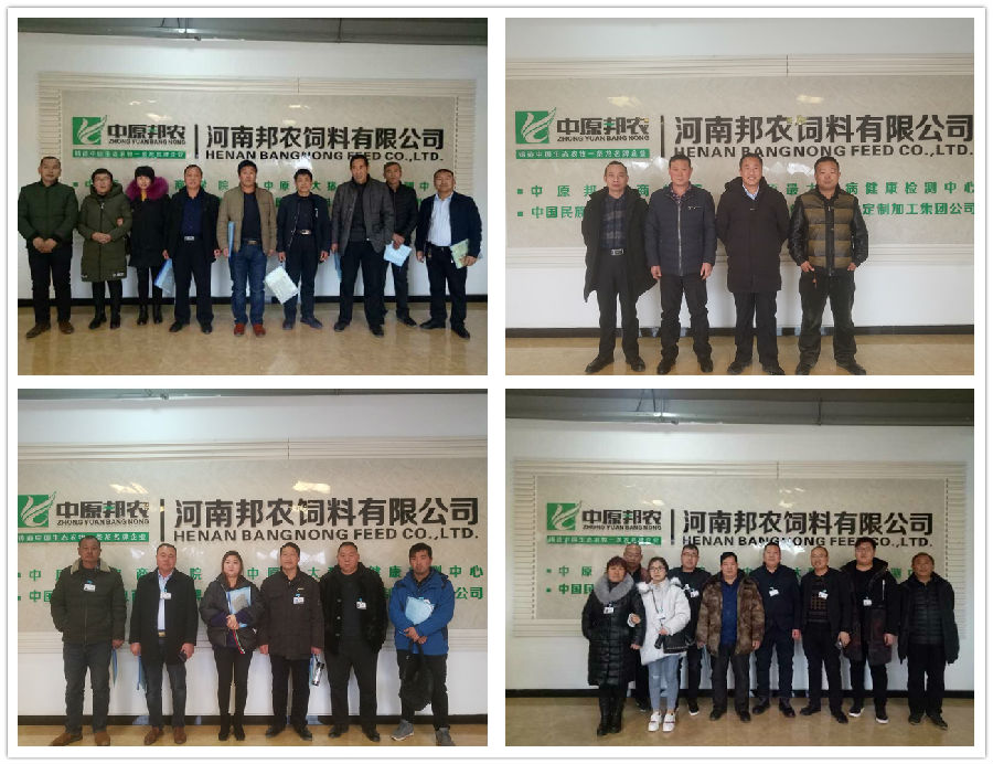 拥抱2019，，，，，梦想驱动——祝贺中原邦农集团2018年度销售事情聚会胜利召开-公司新闻-河南邦农饲料有限公司