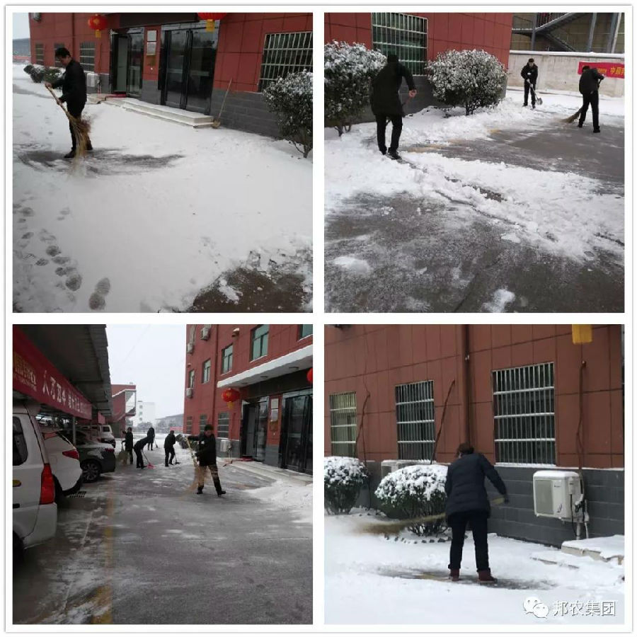 瑞雪兆有年，，，中原邦农全员扫雪开工忙！-公司新闻-河南邦农饲料有限公司