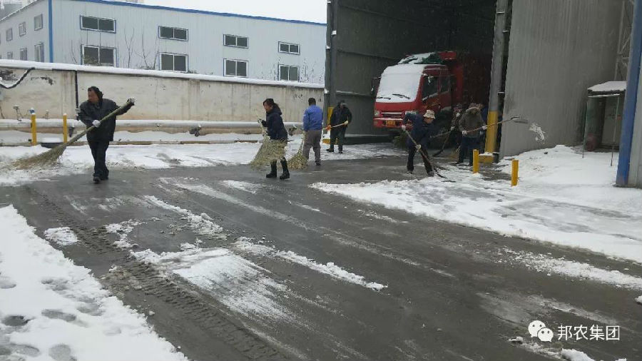 瑞雪兆有年，，，中原邦农全员扫雪开工忙！-公司新闻-河南邦农饲料有限公司