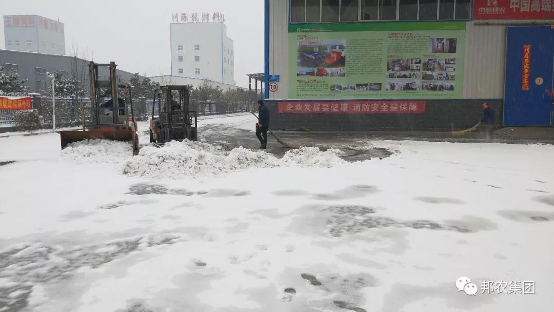 瑞雪兆有年，，，中原邦农全员扫雪开工忙！-公司新闻-河南邦农饲料有限公司