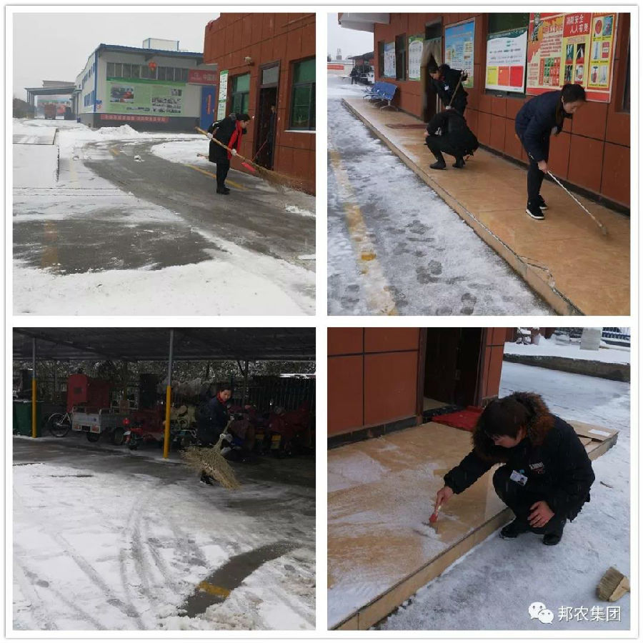瑞雪兆有年，，，中原邦农全员扫雪开工忙！-公司新闻-河南邦农饲料有限公司