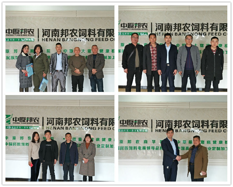 中原邦农2019第一期《“非瘟”肆掠下饲料销售的突围之路》钻研会胜利召开！-公司新闻-河南邦农饲料有限公司