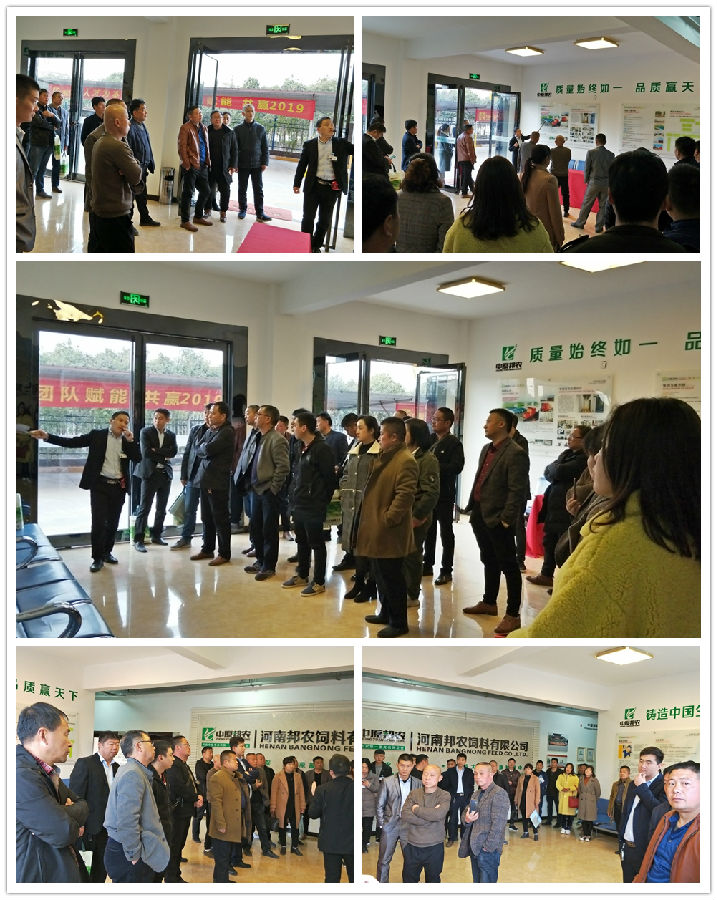 中原邦农2019第一期《“非瘟”肆掠下饲料销售的突围之路》钻研会胜利召开！-公司新闻-河南邦农饲料有限公司