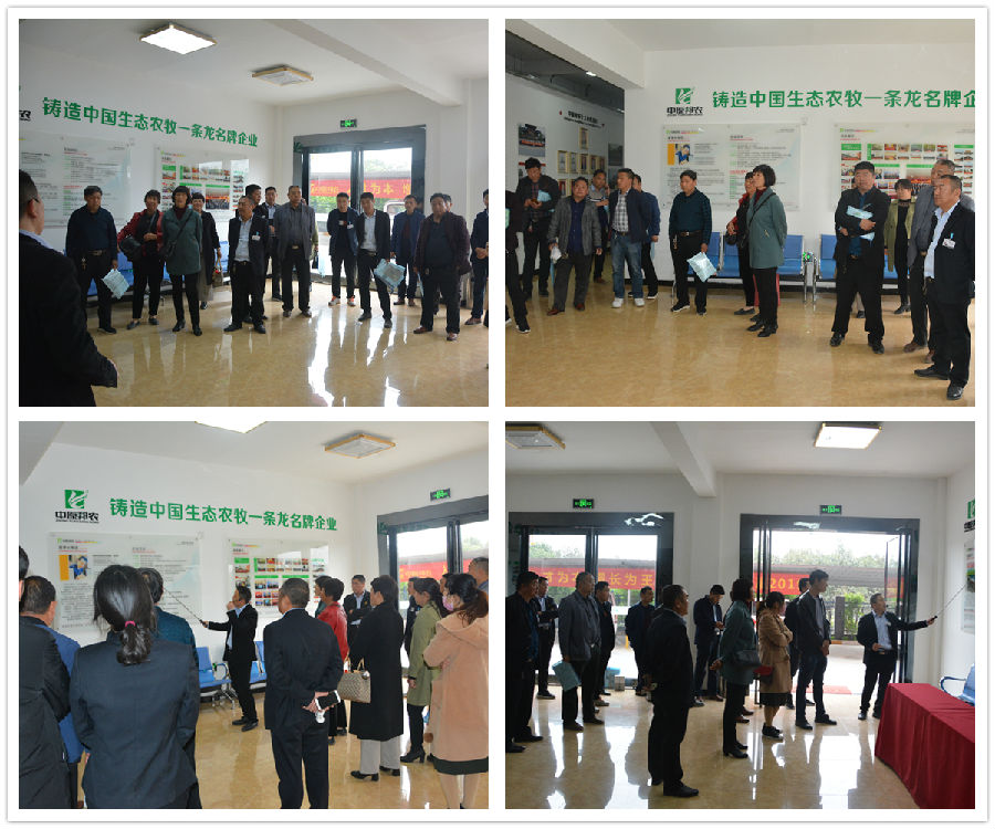 中原邦农2019第二期《“非瘟”肆虐下——饲料销售的突围之路》钻研会胜利召开-公司新闻-河南邦农饲料有限公司