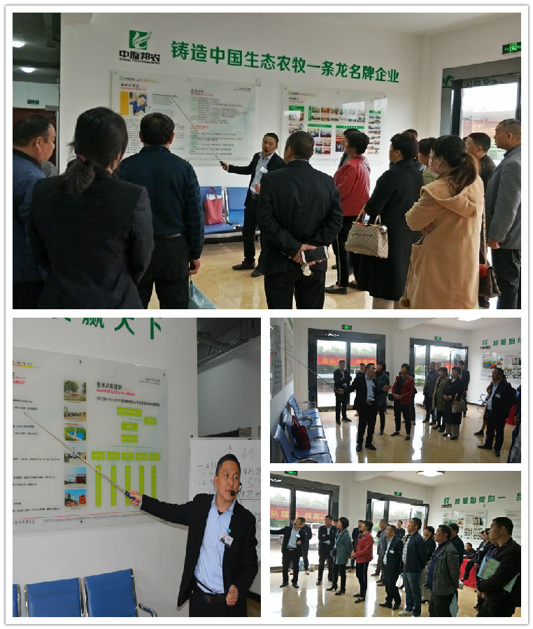 中原邦农2019第二期《“非瘟”肆虐下——饲料销售的突围之路》钻研会胜利召开-公司新闻-河南邦农饲料有限公司