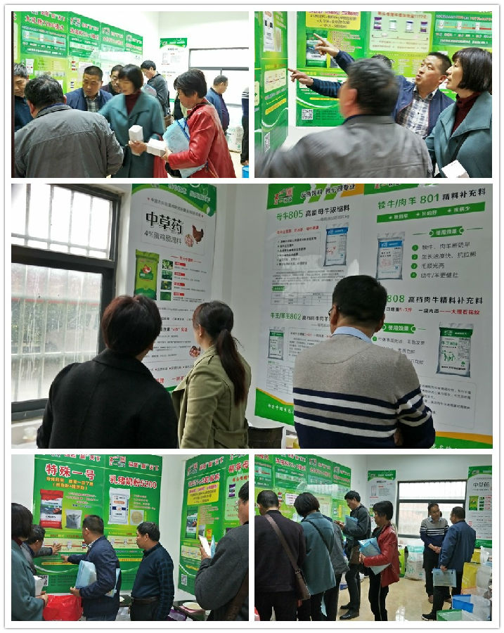 中原邦农2019第二期《“非瘟”肆虐下——饲料销售的突围之路》钻研会胜利召开-公司新闻-河南邦农饲料有限公司