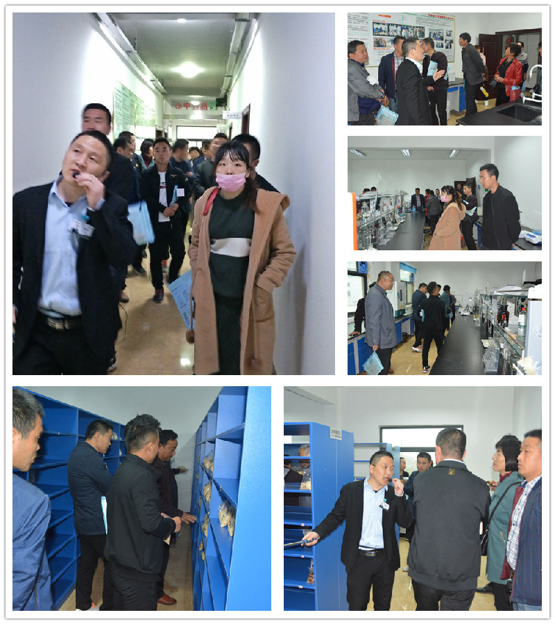 中原邦农2019第二期《“非瘟”肆虐下——饲料销售的突围之路》钻研会胜利召开-公司新闻-河南邦农饲料有限公司