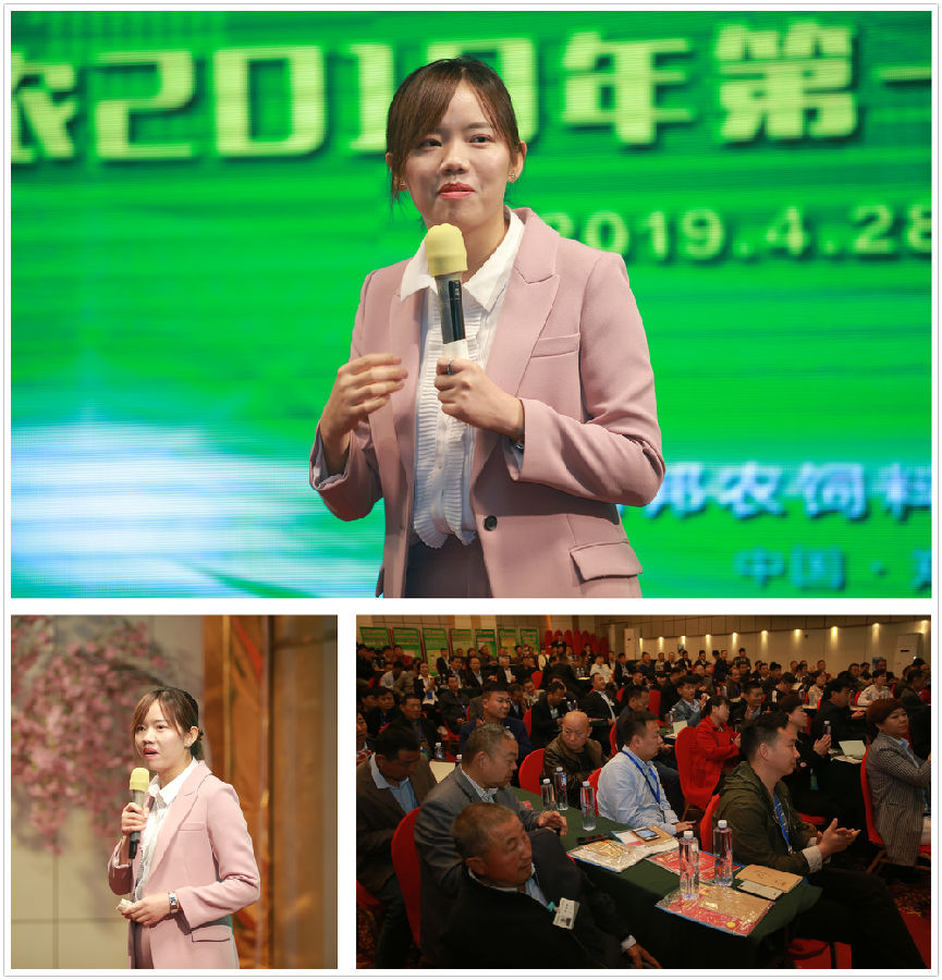 增添主干道——中原邦农2019年第一季度销售聚会精彩回首！-公司新闻-河南邦农饲料有限公司