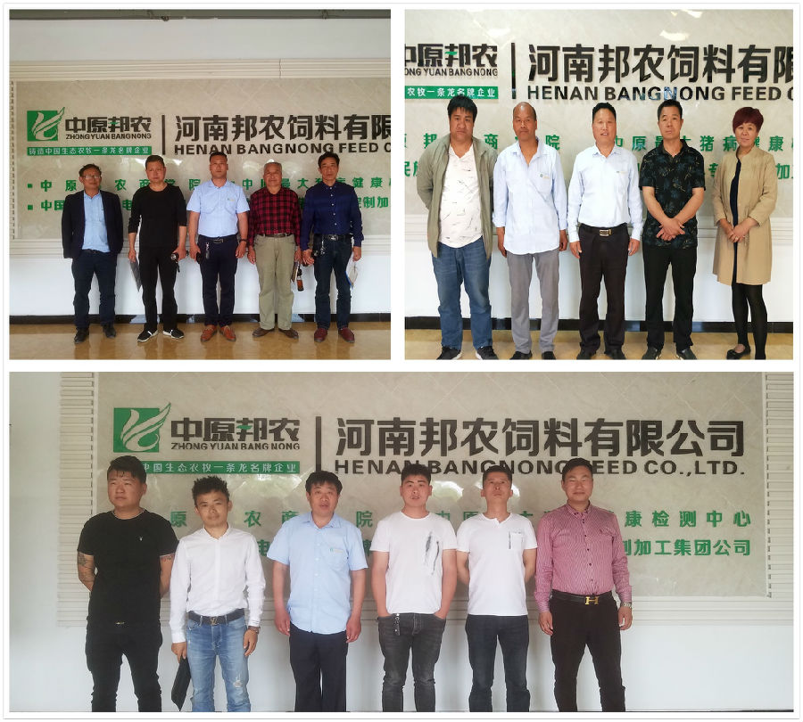 中原邦农2019第三期《“非瘟”肆虐下——饲料销售的突围之路》钻研会精彩回首-公司新闻-河南邦农饲料有限公司
