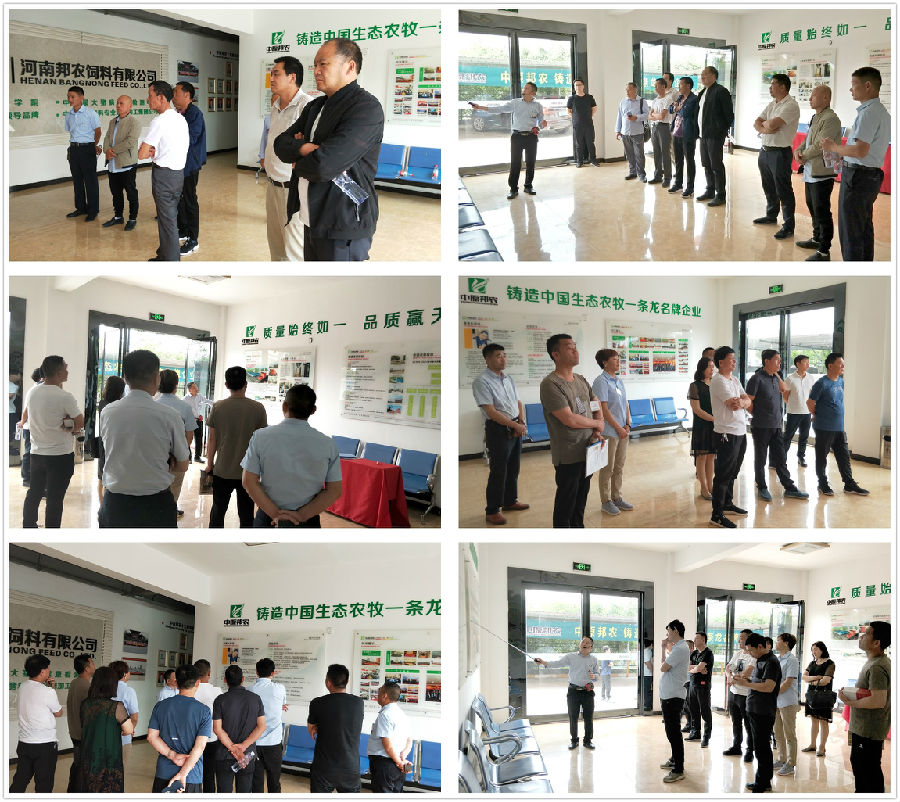 中原邦农2019第四期《“非瘟”肆虐下——饲料销售的突围之路》钻研会精彩回首-公司新闻-河南邦农饲料有限公司