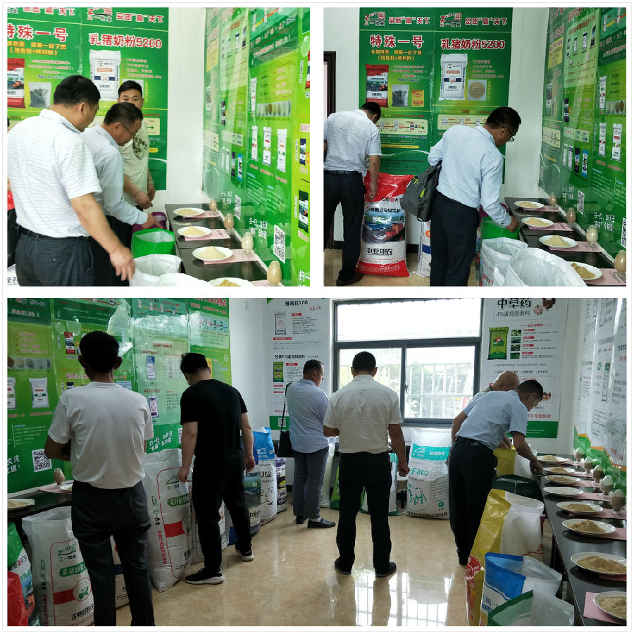 中原邦农2019第四期《“非瘟”肆虐下——饲料销售的突围之路》钻研会精彩回首-公司新闻-河南邦农饲料有限公司