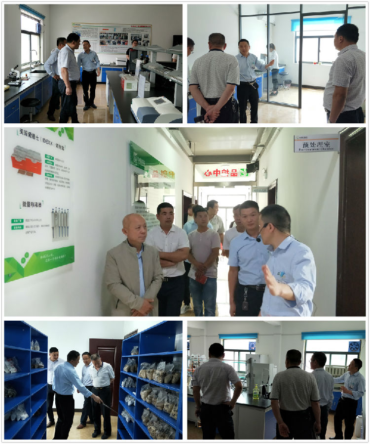 中原邦农2019第四期《“非瘟”肆虐下——饲料销售的突围之路》钻研会精彩回首-公司新闻-河南邦农饲料有限公司