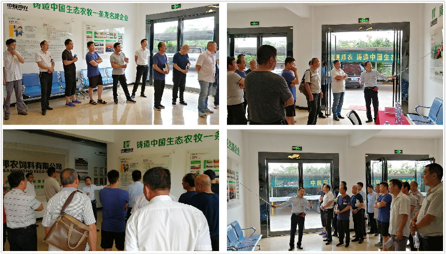 中原邦农2019第五期《“非瘟”肆虐下——饲料销售的突围之路》钻研会精彩回首-公司新闻-河南邦农饲料有限公司