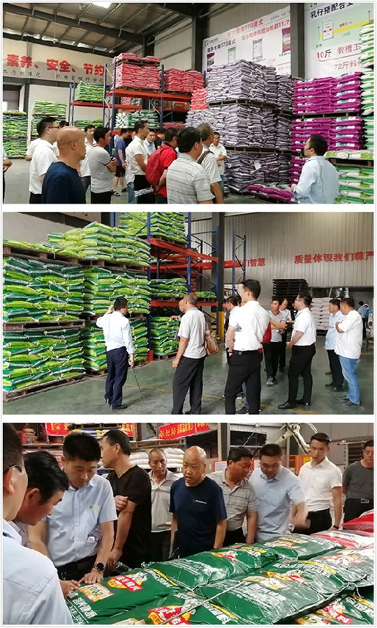 中原邦农2019第五期《“非瘟”肆虐下——饲料销售的突围之路》钻研会精彩回首-公司新闻-河南邦农饲料有限公司