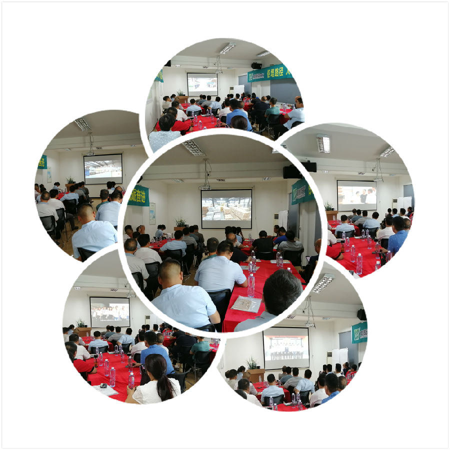中原邦农2019第五期《“非瘟”肆虐下——饲料销售的突围之路》钻研会精彩回首-公司新闻-河南邦农饲料有限公司