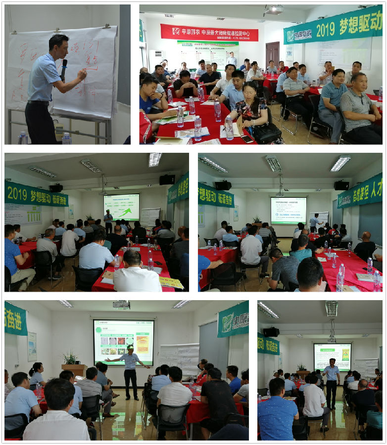 中原邦农2019第五期《“非瘟”肆虐下——饲料销售的突围之路》钻研会精彩回首-公司新闻-河南邦农饲料有限公司