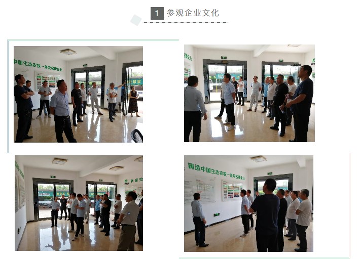中原邦农2019第六期《“非瘟”肆虐下——饲料销售的突围之路》钻研会精彩回首-公司新闻-河南邦农饲料有限公司