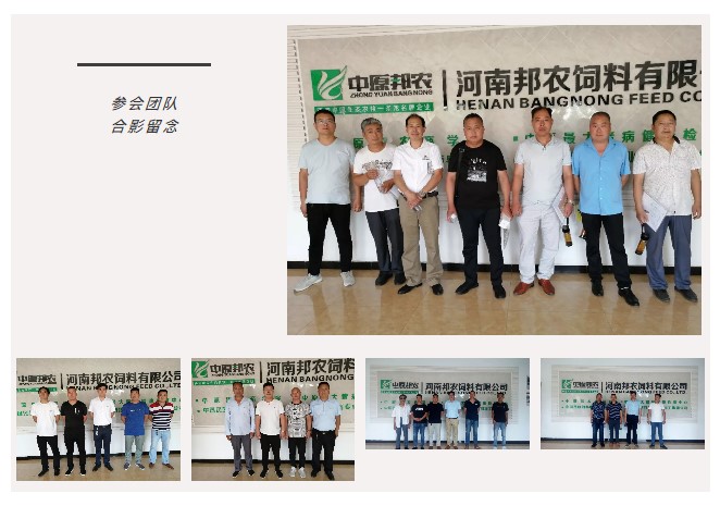 中原邦农2019第六期《“非瘟”肆虐下——饲料销售的突围之路》钻研会精彩回首-公司新闻-河南邦农饲料有限公司