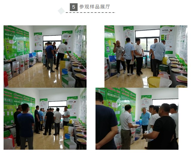 中原邦农2019第六期《“非瘟”肆虐下——饲料销售的突围之路》钻研会精彩回首-公司新闻-河南邦农饲料有限公司
