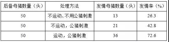 母猪断奶后不发情的六大缘故原由及预防步伐-养殖课堂-河南邦农饲料有限公司