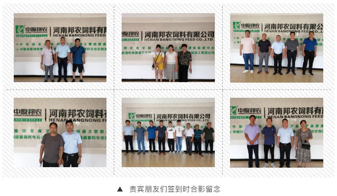 中原邦农2019第七期《“非瘟”肆虐下—饲料销售的突围之路与赚钱模式》钻研会精彩回首-公司新闻-河南邦农饲料有限公司