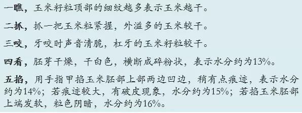 新玉米使用的问题及解决步伐-养殖课堂-河南邦农饲料有限公司