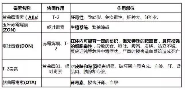 新玉米使用的问题及解决步伐-养殖课堂-河南邦农饲料有限公司