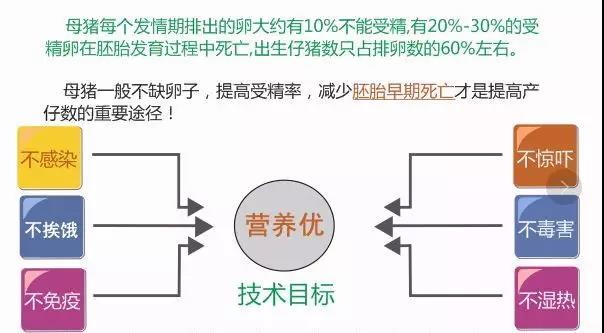 5大概害点教你怎样有用提升猪场PSY-养殖课堂-河南邦农饲料有限公司