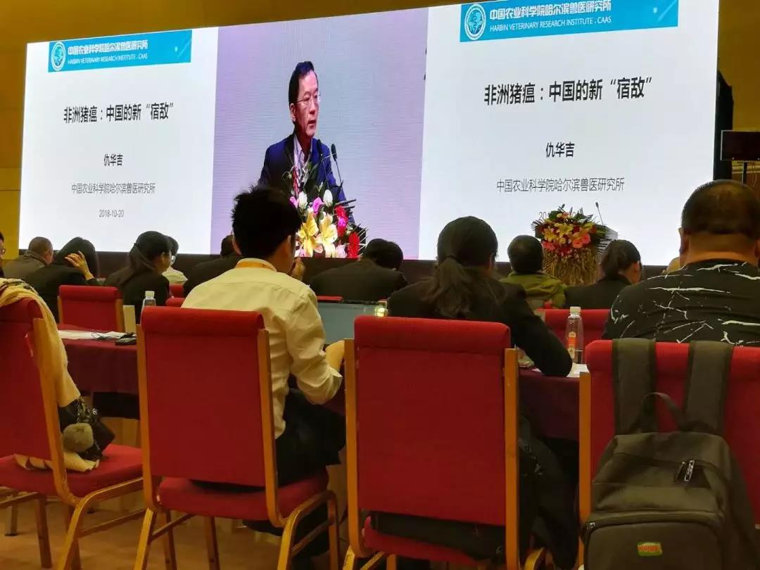 非洲猪瘟：中国的新“宿敌”——李曼大会最强条记-养殖课堂-河南邦农饲料有限公司