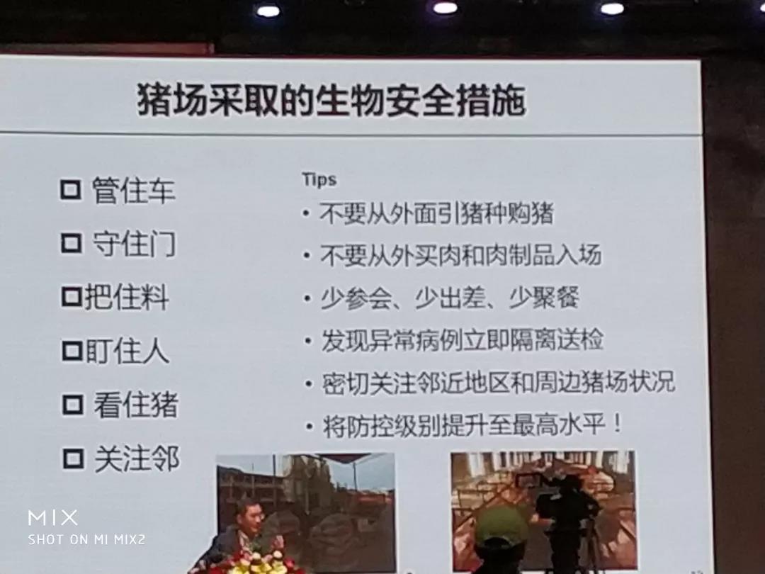 非洲猪瘟：中国的新“宿敌”——李曼大会最强条记-养殖课堂-河南邦农饲料有限公司