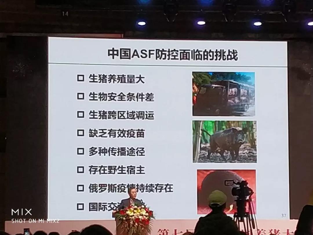 非洲猪瘟：中国的新“宿敌”——李曼大会最强条记-养殖课堂-河南邦农饲料有限公司