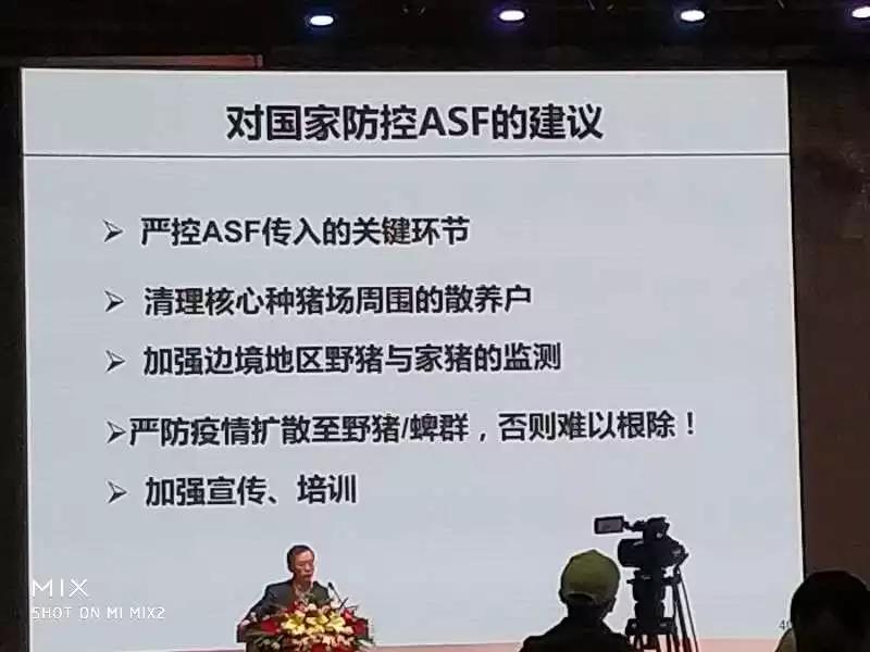 非洲猪瘟：中国的新“宿敌”——李曼大会最强条记-养殖课堂-河南邦农饲料有限公司