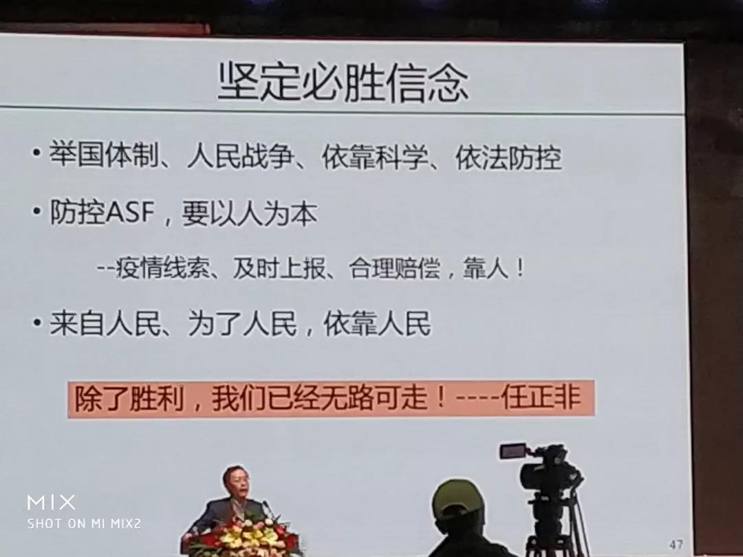 非洲猪瘟：中国的新“宿敌”——李曼大会最强条记-养殖课堂-河南邦农饲料有限公司