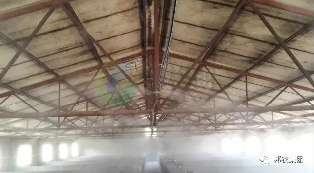 怎样有用消毒，，，确保猪场第一道防地的清静稳固？？-养殖课堂-河南邦农饲料有限公司