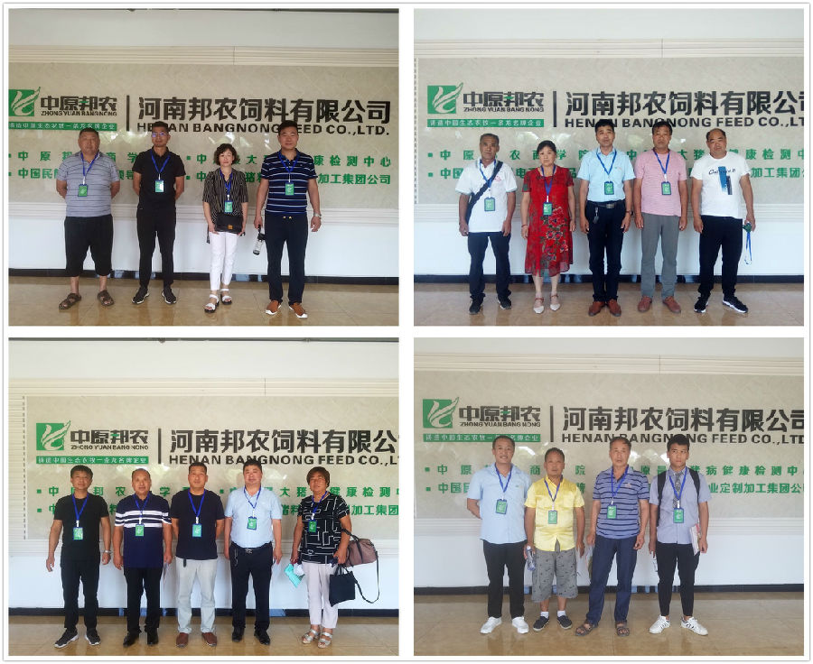 中原邦农2019第八期《裂变式团队扩建》钻研会精彩回首-公司新闻-河南邦农饲料有限公司