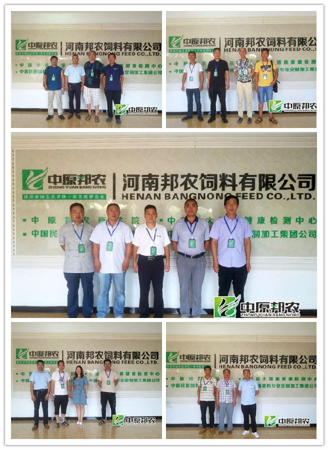 【中原邦农】饲料营销8.0：“非瘟”下的利润倍增模式第九期钻研会精彩回首-公司新闻-河南邦农饲料有限公司