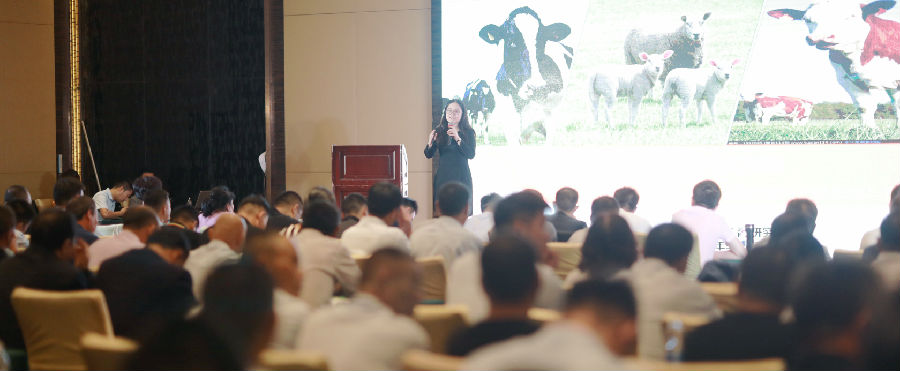 中原邦农2019年季度销售事情聚会胜利召开-公司新闻-河南邦农饲料有限公司