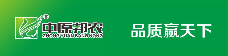 熔炼团队 共赢未来丨大区司理2020烽狼特训拓展运动完善落幕
