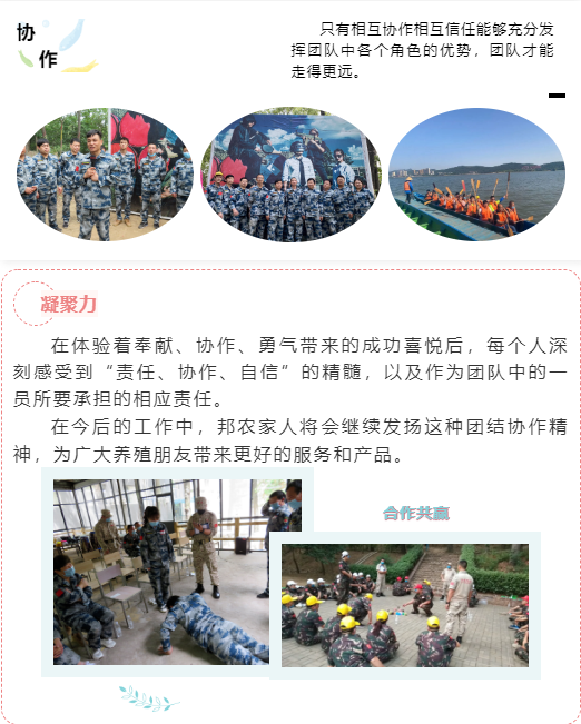 熔炼团队 共赢未来丨大区司理2020烽狼特训拓展运动完善落幕