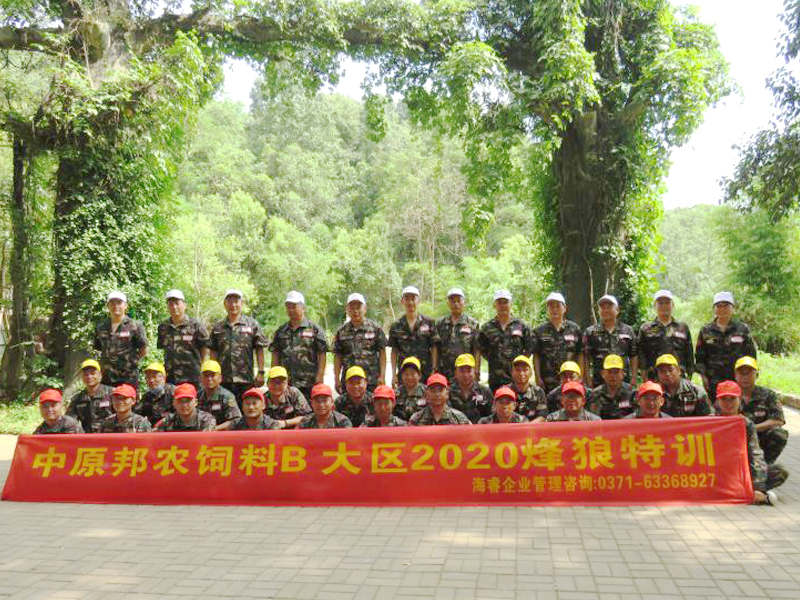 熔炼团队 共赢未来丨大区司理2020烽狼特训拓展运动完善落幕